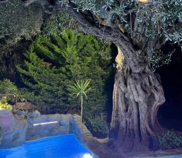 Makri Villa | Villa Steana