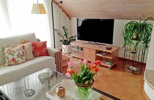 Bosingfeld Apartment | Villa Stephan