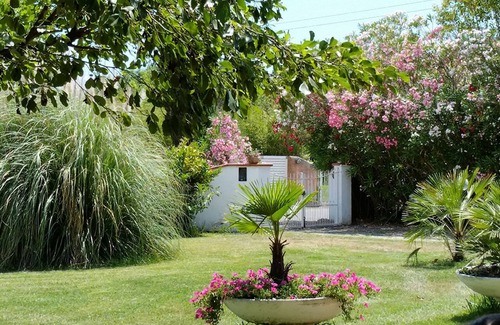 Pietrasanta Villa | Villa surrounded by greenery, 10 minutes from Forte dei Marmi and Viareggio. 3 km