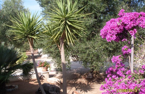 Salve House | villa surrounded by the Mediterranean not far from the sea