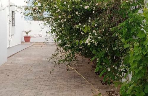 Aghir Villa | Villa syrine