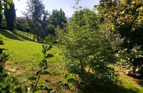 Dremil-Lafage Bed & Breakfast | villa terrefort