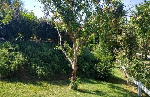 Dremil-Lafage Bed & Breakfast | villa terrefort