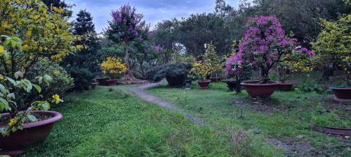 Binh Thuy Apartment | Villa THỦY NGUYÊN