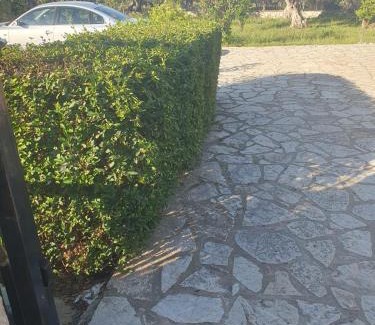 Elbasan Villa | Villa Theodora