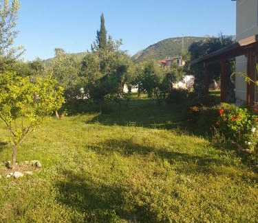 Elbasan Villa | Villa Theodora