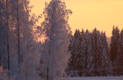 Nilsia House | Villa Tiirinkallio