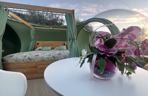 Filiano Bed & Breakfast | Villa Ulivi