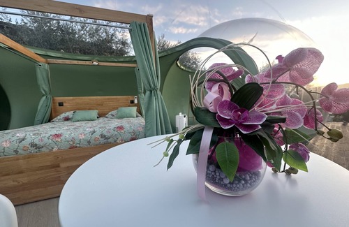 Filiano Bed & Breakfast | Villa Ulivi