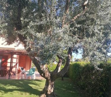 Palidoro Villa | Villa vicino al mare