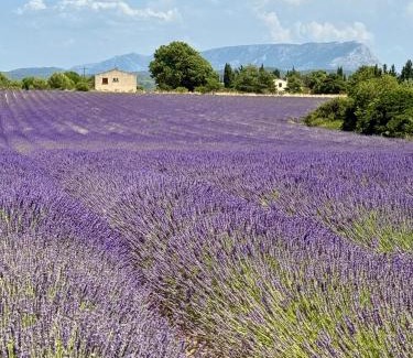Venelles Villa | Villa Victoire au coeur de la Provence