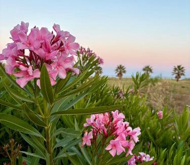 Porto Palo Villa | Villa Vinci
