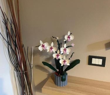 Cenate Sotto Bed & Breakfast | Villa Vinea Prisca B&B