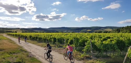 Limbach Bed & Breakfast | Villa Vinica