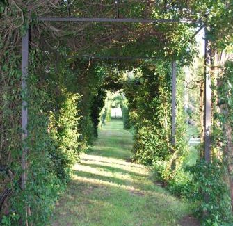 Atina Bed & Breakfast | Villa Visocchi Bed and Breakfast