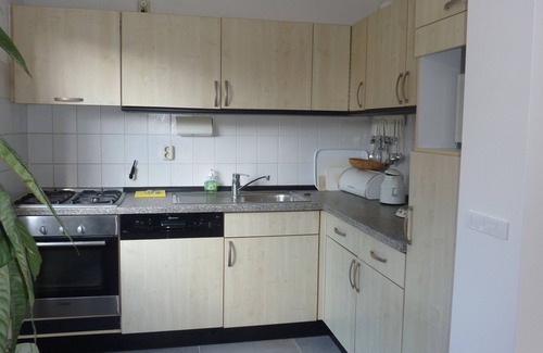 Julianadorp aan zee House | Villa XXl Juliandorp aan Zee, whirlpool, fireplace, sauna,