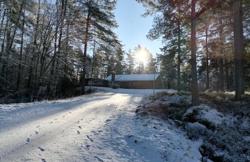 Zinkgruvan House | Villa Zinkgruvan Ferienhaus am See in Alleinlage