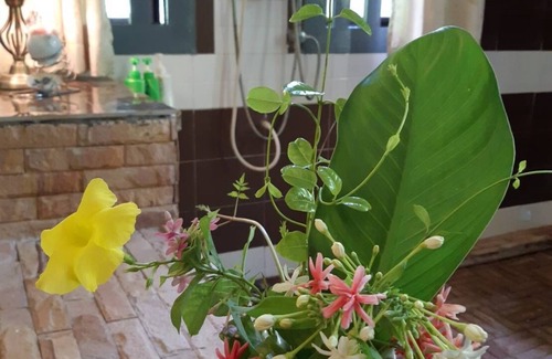 Kumphawapi House | Village Homestay