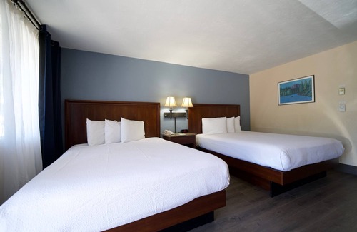 Springfield Hotel | Village Inn Springfield