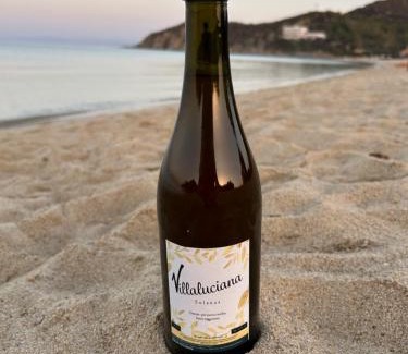 Solanas House | Villaluciana