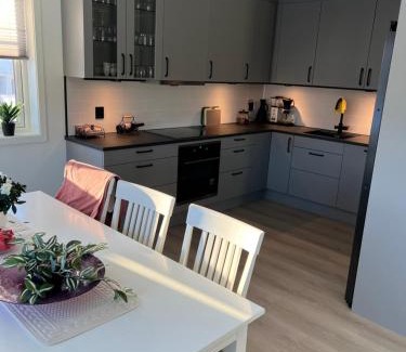 Vesteralen Apartment | Villaveien