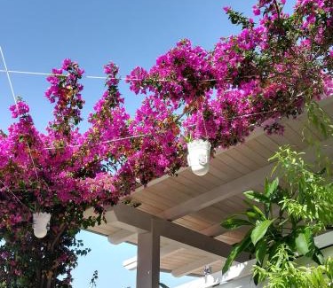 Casuzze House | "Villetta tra Mare e Barocco"