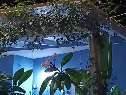 Casuzze House | "Villetta tra Mare e Barocco"