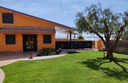 Lido dei Pini Apartment | villino Andrea