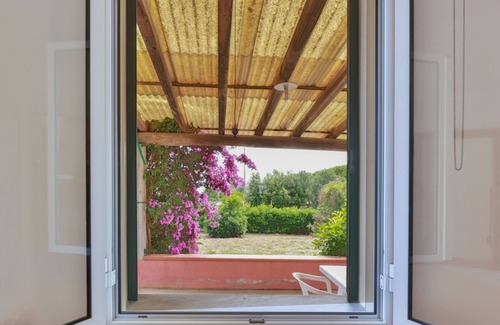 Lacona Villa | Villino Lampone with sea view, immersed in a garden of olive trees