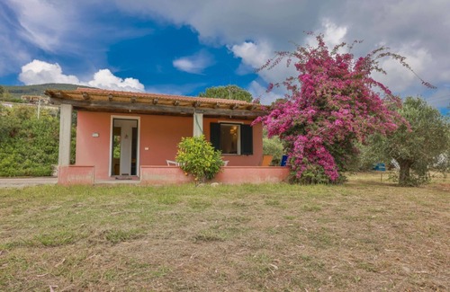 Lacona Villa | Villino Lampone with sea view, immersed in a garden of olive trees
