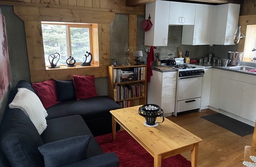 Jade City Cabin | Vines and Puppies Hideaway