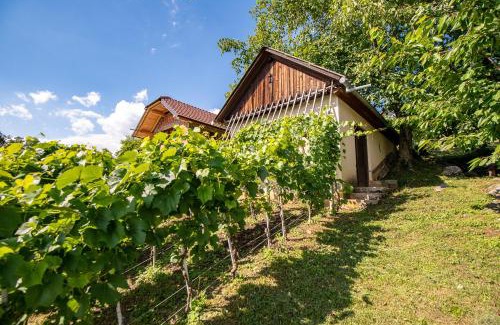 Dobrnic House | Vineyard Cottage Pod Piramido