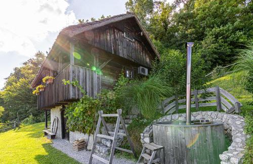 Srednje Grcevje House | Vineyard Cottage Skatlar