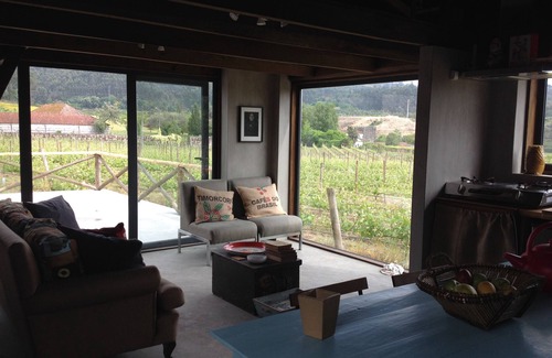 Mosteiro Cottage | Vineyard Country House/35 km from Porto/situated on a Vinho Verde estate