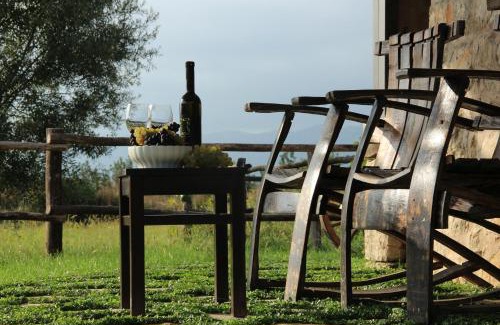 Konavle Cabin | Vineyard Eco Cottage near Dubrovnik