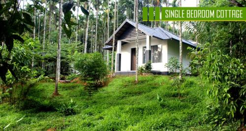 Sulthan Bathery Villa | Vintage Garden Resort