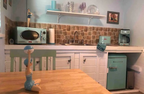 Brooksville Apartment | Vintage Mermaid - Neptune's Grotto Old Florida Adventure Retreats