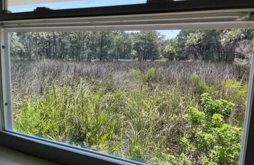 Brooksville Apartment | Vintage Mermaid - Neptune's Grotto Old Florida Adventure Retreats