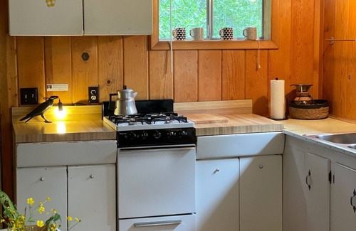 Salida Cabin | Vintage TATA River Cabin: Arkansas River Cabin