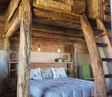 Dronero Bed & Breakfast | Virasol