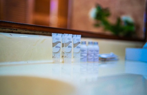Delmas Hotel | Visa Lodge