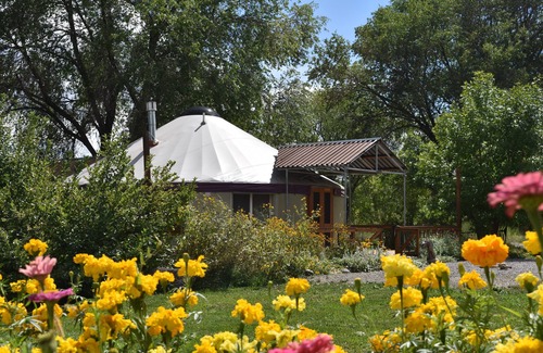 Paonia Apartment | Visit award winning wineries in our valley in tricked out Yurt on the NF River.