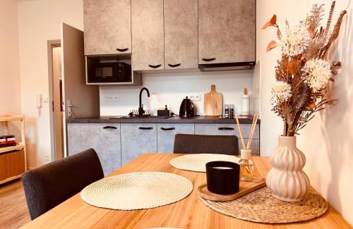 Rokytnice nad Jizerou Apartment | Vista 14