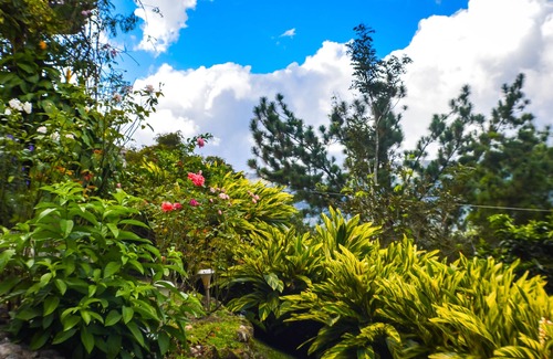 El Valle de Anton House | Vista 180 al Valle de Anton