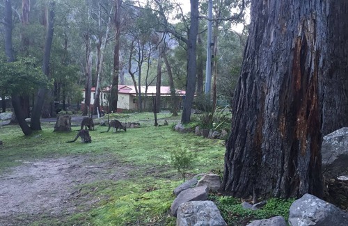 Halls Gap Cottage | Vista Halls Serene Gap