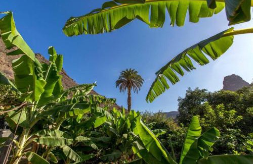San Bartolome de Tirajana House | Vivienda Vacacional La Finca