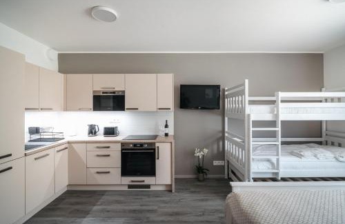 Cesky Krumlov Apartment | Vltavín Relax Apartments