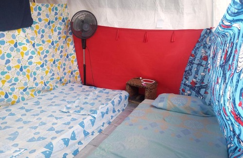 Colonia Independencia Other | VOLUNTARY & Camping