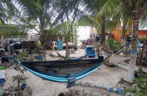 Colonia Independencia Other | VOLUNTARY & Camping