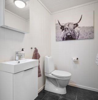 Skulestad Apartment | Voss Resort self-service apartments